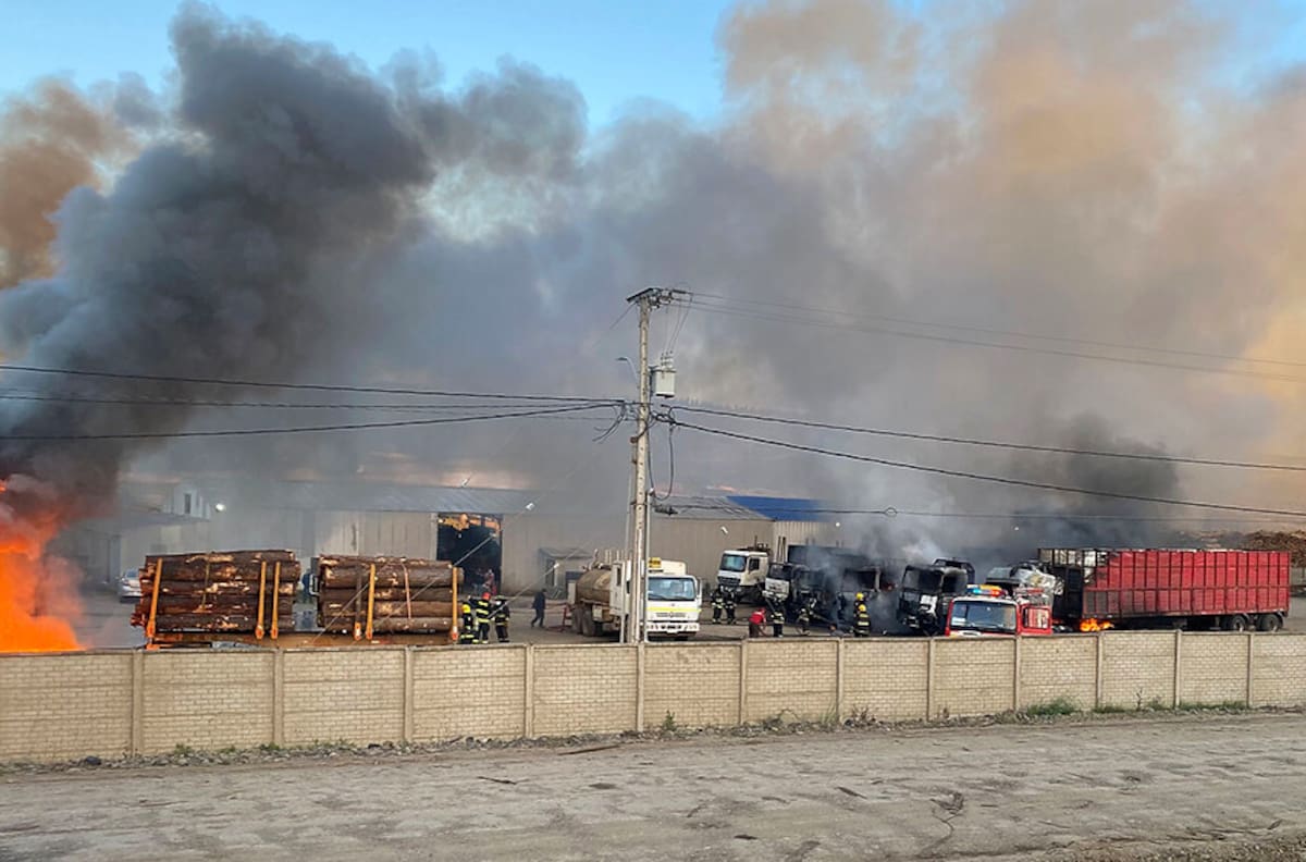 Empresario forestal tras ataque incendiario emplazó a Piñera: "Camión quemado, camión pagado"