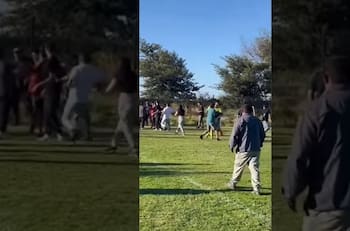 VIDEO | Carabinero fue dado de baja luego de disparar al aire en medio de una pelea