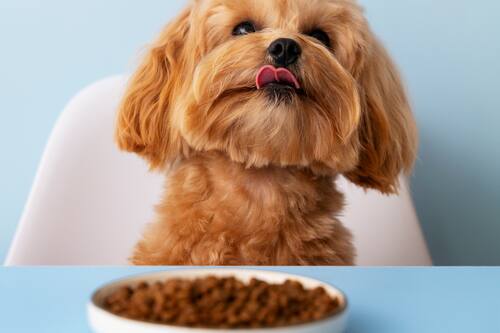 Conoce el puesto en el que está Chile.