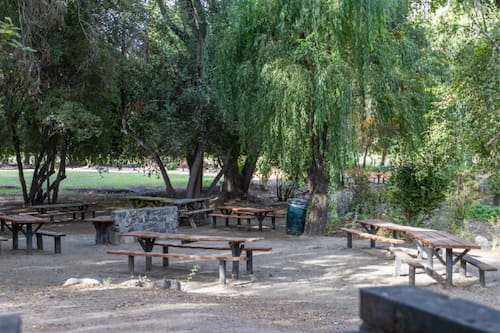 Una excelente opción para disfrutar en un entorno lleno de naturaleza.
Créditos: Parque Los Héroes.