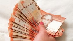 Sercotec entrega subsidios de hasta $3.500.000 millones a mujeres de esta región de Chile: son CUATRO requisitos