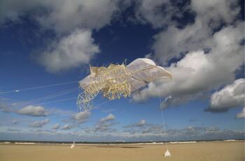 VIDEO | ¿Están vivas?: Esculturas gigantes se mueven por sí solas en las playas de Holanda