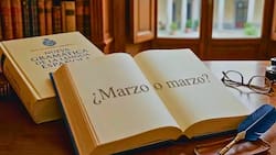 ¿Marzo o marzo? La RAE aclara la única vez que los meses del año se pueden escribir con mayúscula