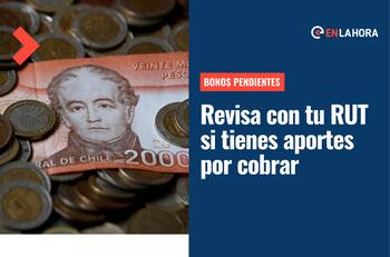 Bonos pendientes: ¿Cómo saber si tengo aportes del Estado sin cobrar? Revisa con tu RUT