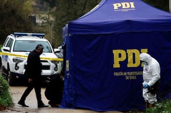 Macabro hallazgo en la Región del BioBío: Encuentran dos cadáveres en un bosque de Los Álamos
