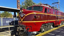 Tren del Recuerdo llega a la Vendimia de Curicó 2026: precios y horarios del evento