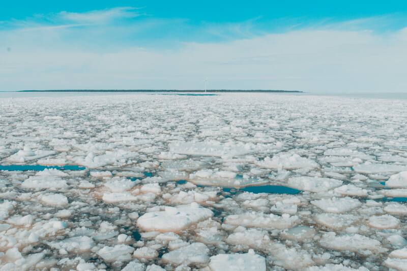 ¿Cuál crees que sea la ciudad con más probabilidades de sobrevivir?