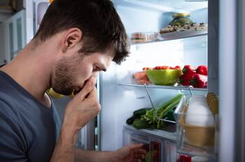¿Cómo quitar o prevenir los malos olores en tu refrigerador con productos caseros?