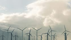 Duro golpe al mercado chileno: empresa francesa retira megaproyecto energético de US$400 millones