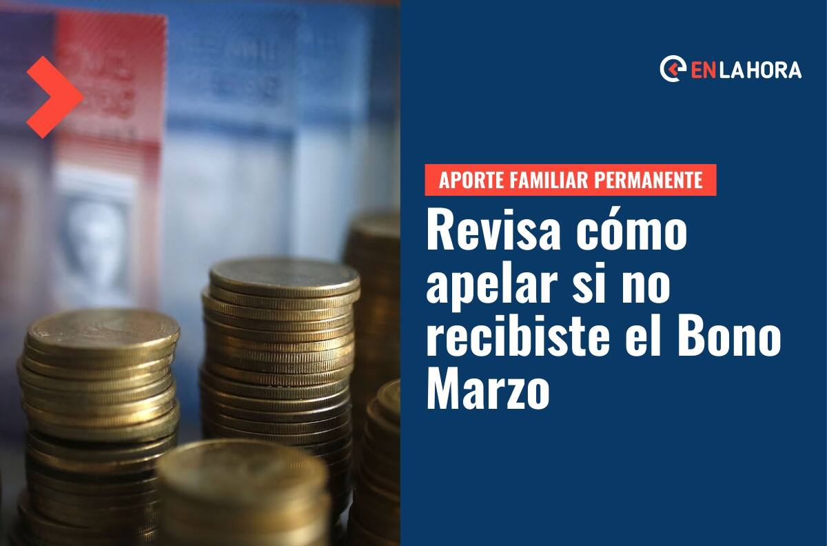 Bono Marzo: ¿Cómo apelar si no recibí el pago del Aporte Familiar Permanente?
