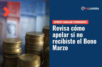 Bono Marzo: ¿Cómo apelar si no recibí el pago del Aporte Familiar Permanente?