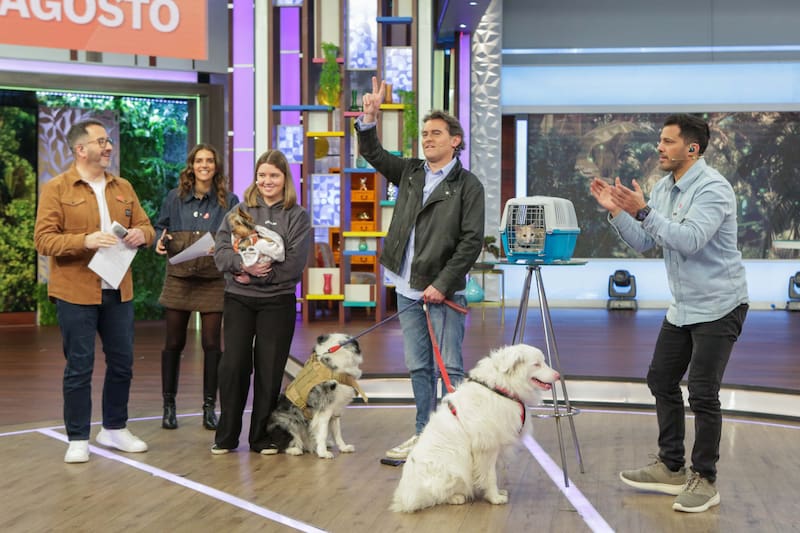 Sebastián Jiménez es la nueva incorporación de "Buenos Días a Todos". Créditos: TVN