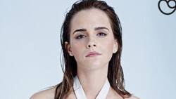 Sus fanáticos están destruidos: Emma Watson dejará la actuación, temporalmente