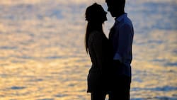 Día de los enamorados: El libro que nos enseña 100 actividades para hacer este 14 de febrero