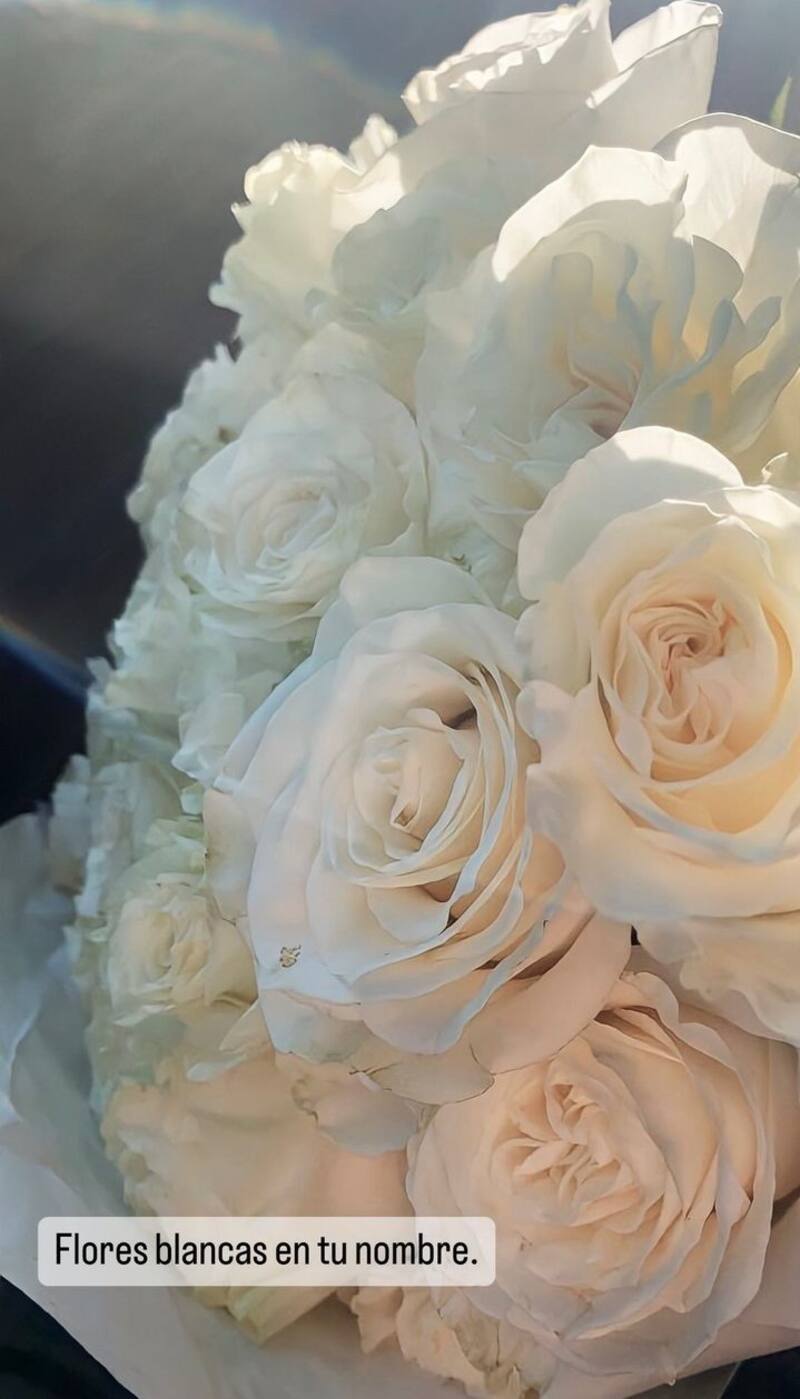 Créditos: Instagram