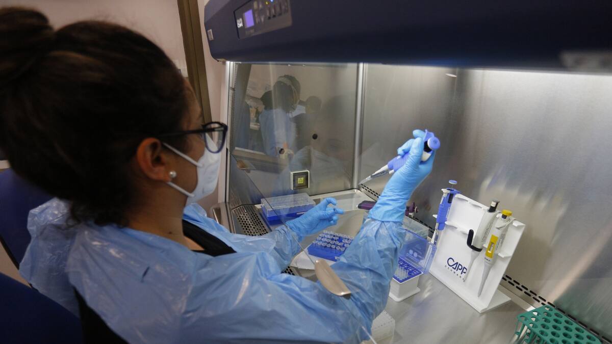 Experto advirtió cuándo podría haber un rebrote de COVID-19 en Chile