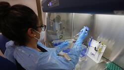 Experto advirtió cuándo podría haber un rebrote de COVID-19 en Chile