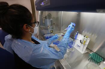 Experto advirtió cuándo podría haber un rebrote de COVID-19 en Chile