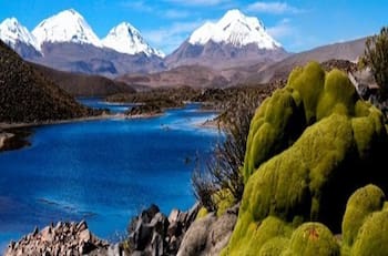Parque Nacional Lauca: Conoce los paisajes, actividades, flora y fauna del lugar