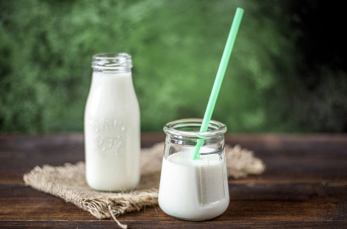 Fáciles de preparar: Cinco recetas dulces hechas en base a leche