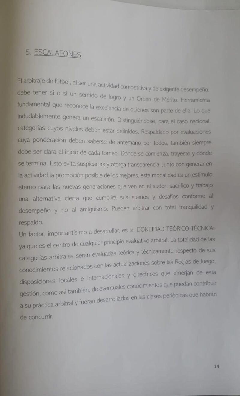 King Kong Leaks, Informe Javier Castrilli