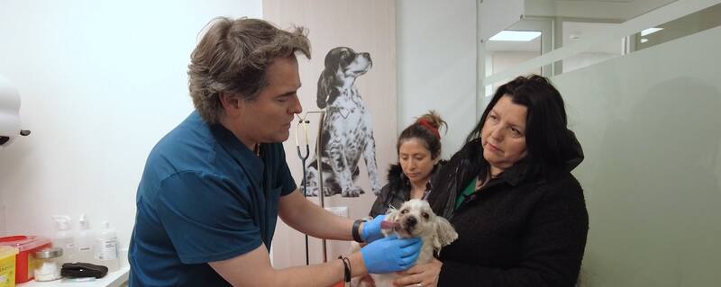 Sebastián Jiménez y el caso de "Loki" que impacta en el primer capítulo de "Acción Animal"