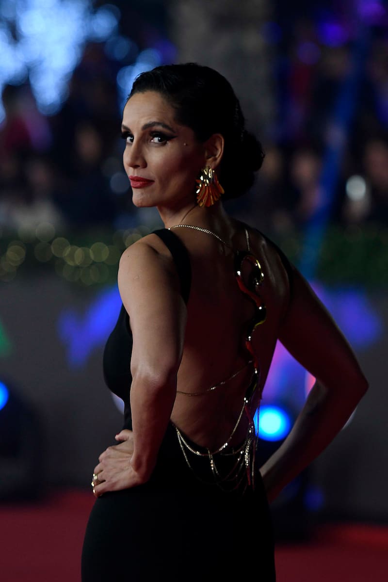 En la gala de Viña 2023
FOTO: PABLO OVALLE ISASMENDI / AGENCIAUNO