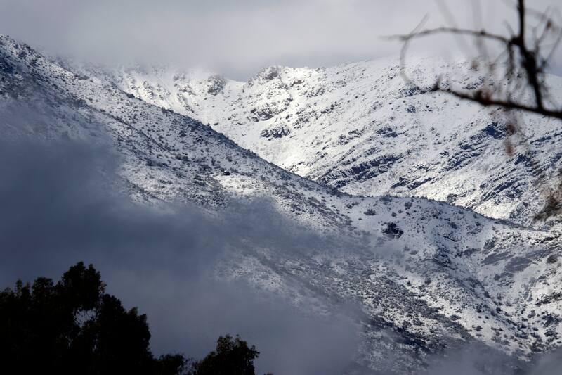 Todos se encuentran en buenas condiciones de salud.