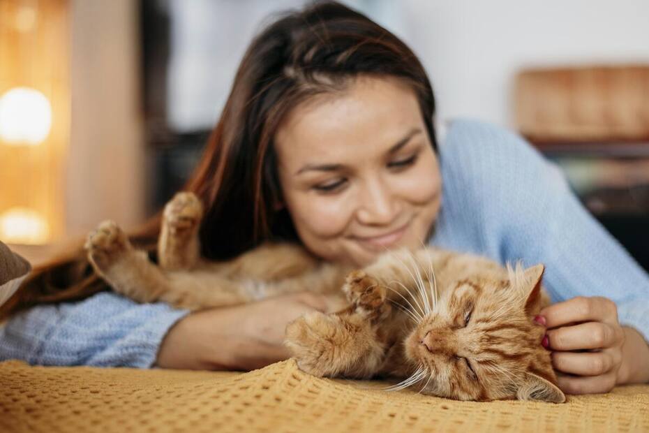 Fueron elegidos por Chat GPT entre los animales más tiernos- Créditos: Freepik