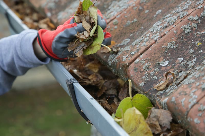 Conoce los consejos para solucionar este problema.