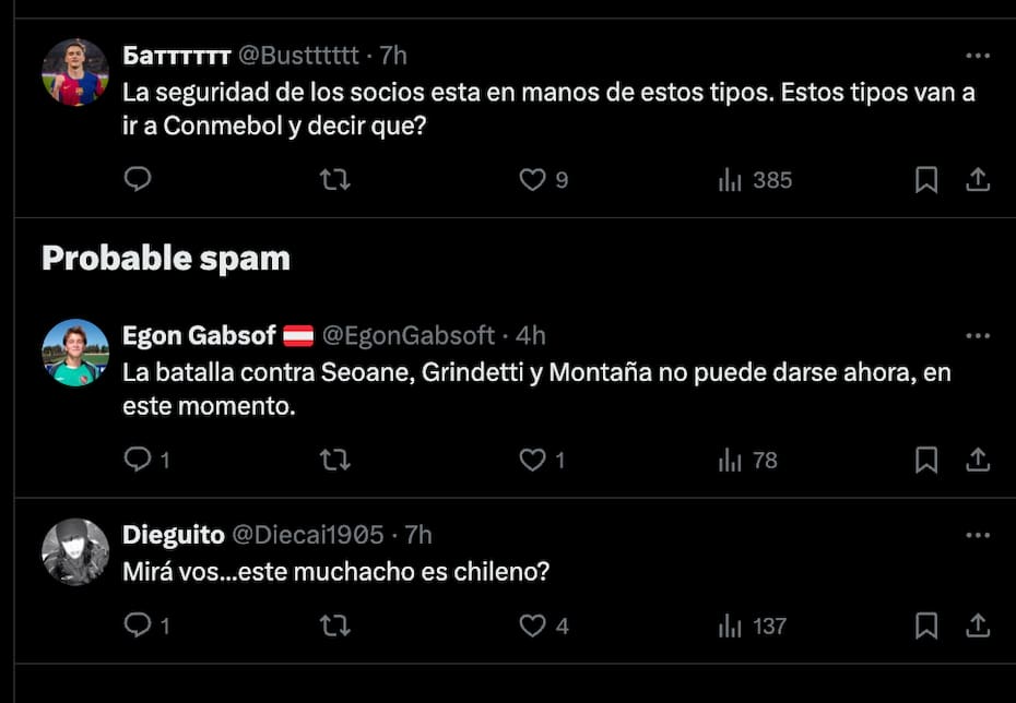 Hinchas cuestionaron las declaraciones de Daniel Seoane.