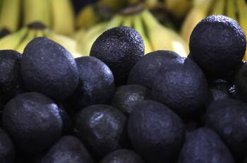 ¡Valor de la palta Hass se eleva hasta los $8 mil! ¿A qué se debe esta alza?