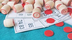 Lotada en Independencia: Ubicación, fecha y horario de este gran panorama familiar en la RM