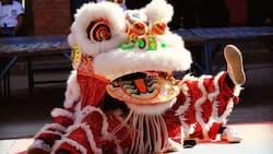 Continúan las celebraciones del Año Nuevo Chino en Puente Alto este fin de semana: Revisa actividades y horarios