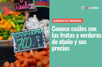 Frutas y verduras de otoño: Revisa los mejores alimentos de esta temporada en Chile y sus diferencias de precios en ferias y supermercados