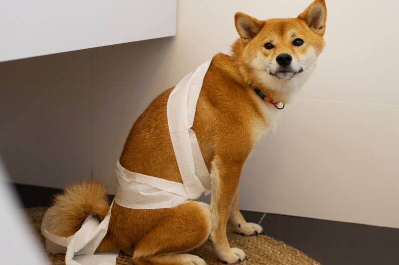 Conoce la razón detrás de este comportamiento.