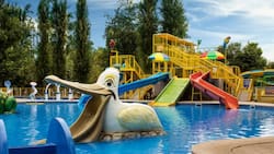 ¿Qué hacer HOY en Santiago?: Cinco panoramas imperdibles para disfrutar este martes 17 de febrero