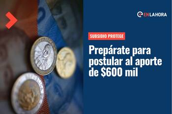 Subsidio Protege: En pocos días comienzan las postulaciones al bono que entrega $200.000 por tres meses