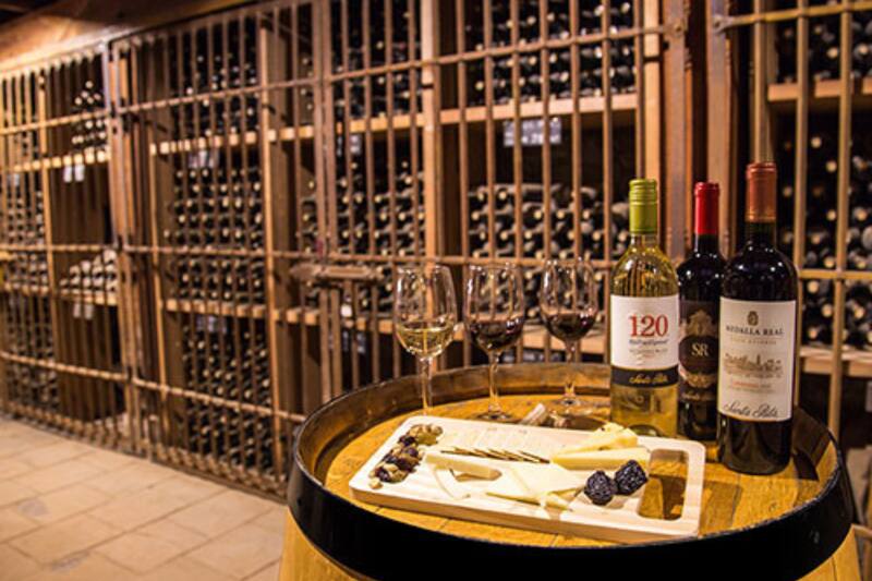 Vista Viña Santa Rita este Día del Patrimonio. Créditos: Viña Santa Rita.