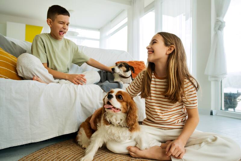 Los más pequeños del hogar también se ven beneficiados.