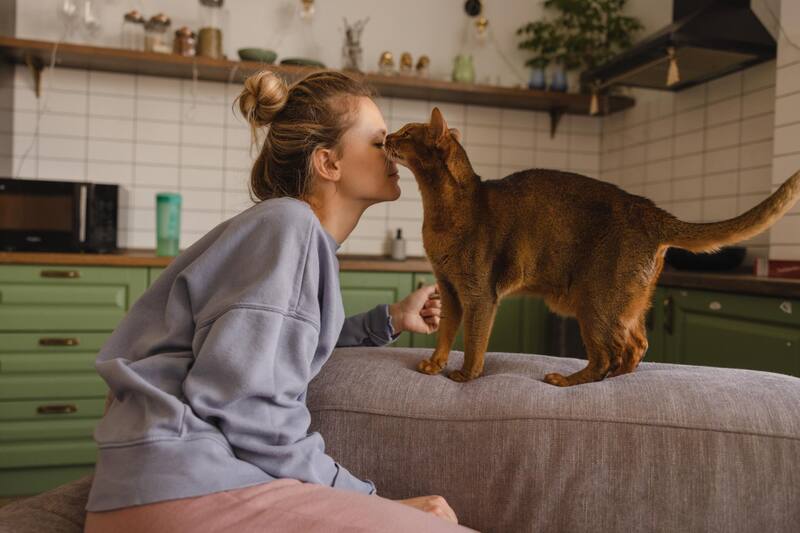 Acariciar un animal disminuye el estrés.