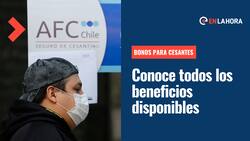 Bonos para cesantes: Revisa 5 subsidios y aportes a los que puedes acceder si no tienes trabajo