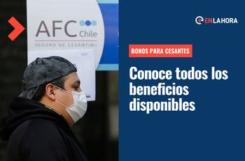 Bonos para cesantes: Revisa 5 subsidios y aportes a los que puedes acceder si no tienes trabajo
