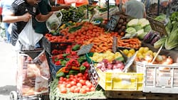 Alza de precio en alimentos tras sistema frontal: ¿Qué verduras podrían subir su valor?