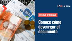 Informe de deudas: Solo con tu RUT puedes descargar el documento de tus morosidades