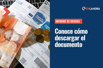 Informe de deudas: Solo con tu RUT puedes descargar el documento de tus morosidades