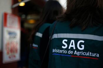 Servicio Agrícola y Ganadero busca trabajadores: sueldos parten en $1.700.000