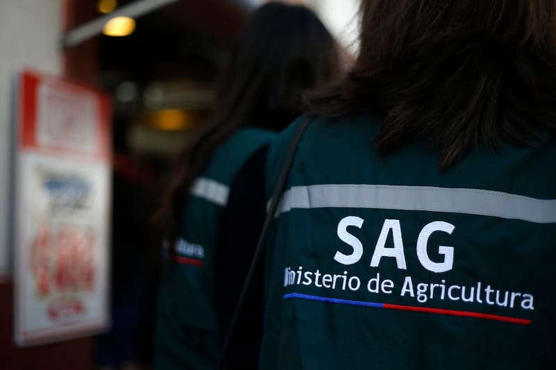 Revisa los trabajos a los que puedes postular de forma online.