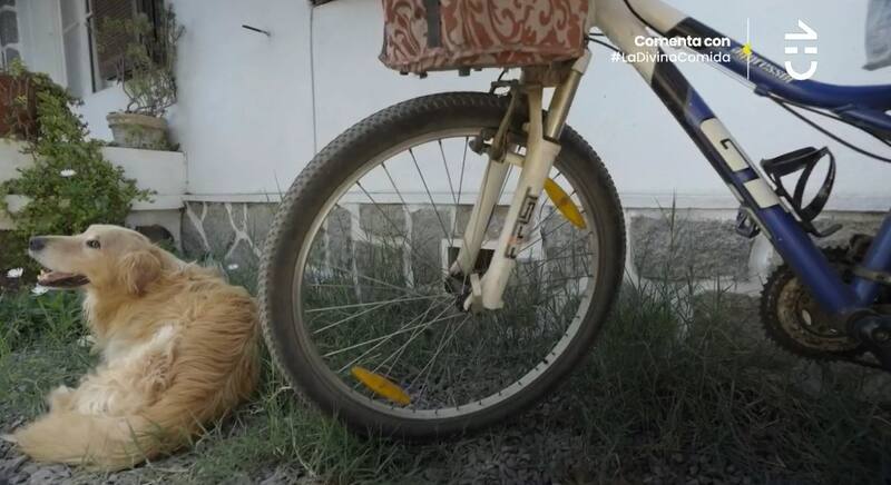 Kathy Salosny conserva la misma bicicleta hace décadas. Créditos: Pantallazo CHV