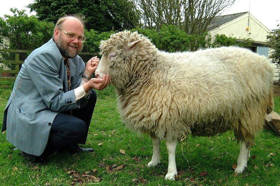 Anuncian la clonación de la oveja Dolly.